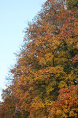 1B8A1567